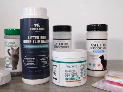 Best Cat Litter Deodorizers