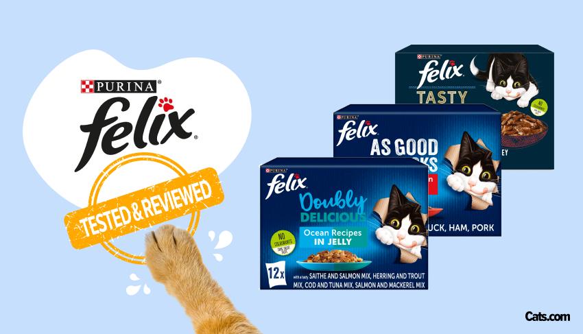 Brand Review  - Felix