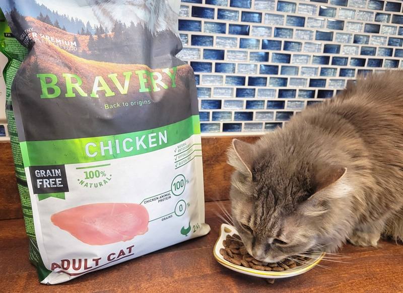 Bravery Adult Cat Chicken Recipe Dry Cat Food