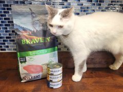 Bravery Cat Food with cat