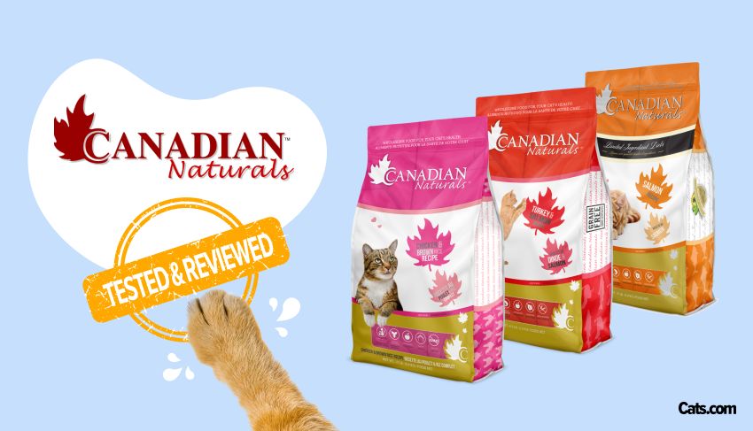 Canadian Naturals Cat Food Brand Review