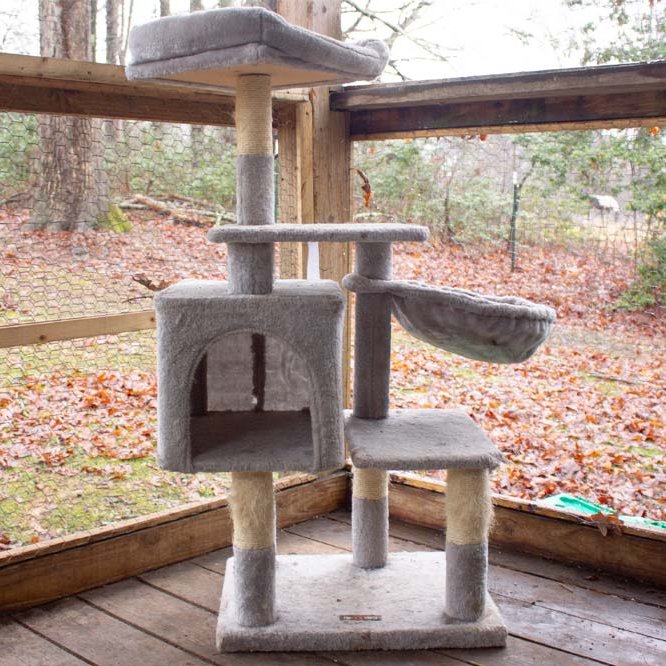 Large cat tree in the corner against windows.