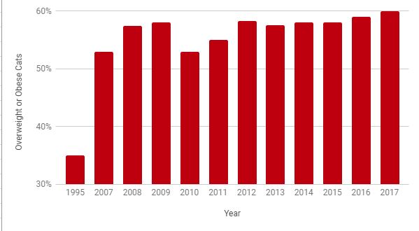 Feline Obesity Overweight Over Time