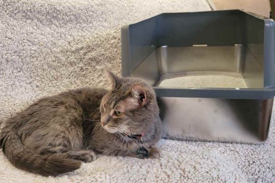 iPrimio Stainless Steel Cat Litter Box Review