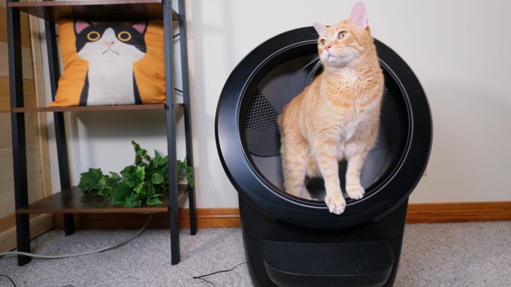 Litter-Robot 4 Automatic Litter Box