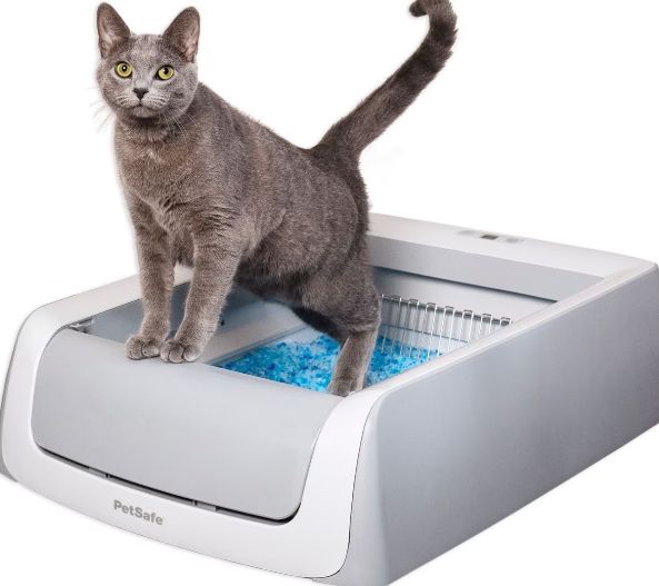 PetSafe ScoopFree Complete Plus Self-Cleaning Litter Box