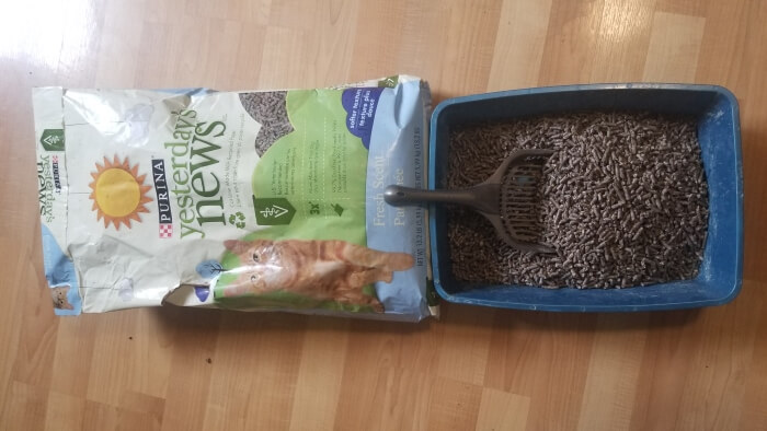 purina yesterday cat litter5