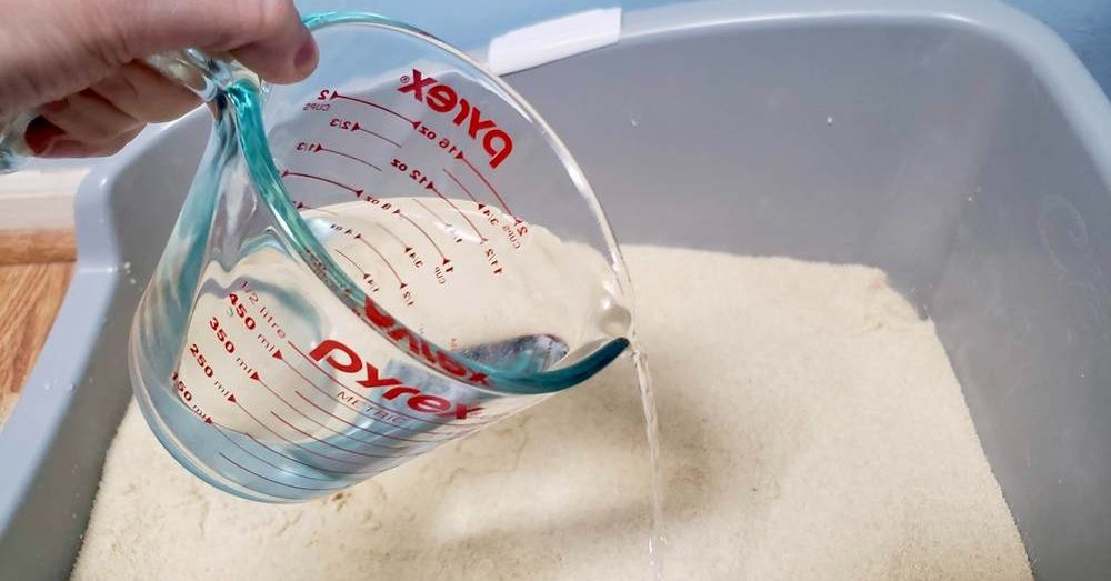 Reviewer pouring water into litter box for testing