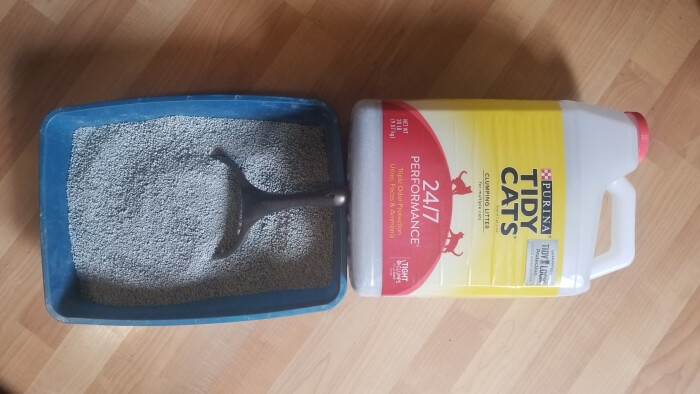 Best Cat Litter