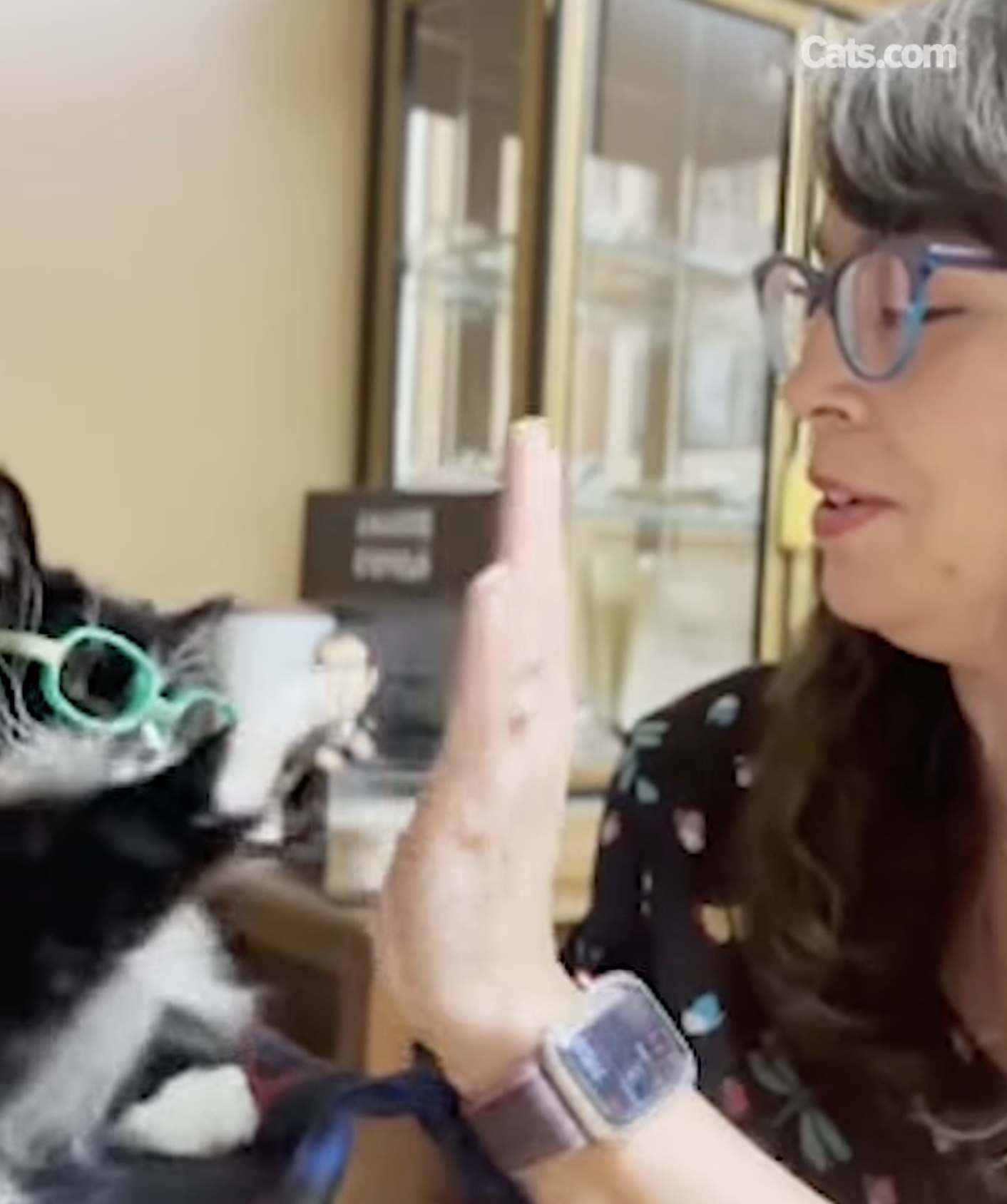 Truffles high-fives her rescuer