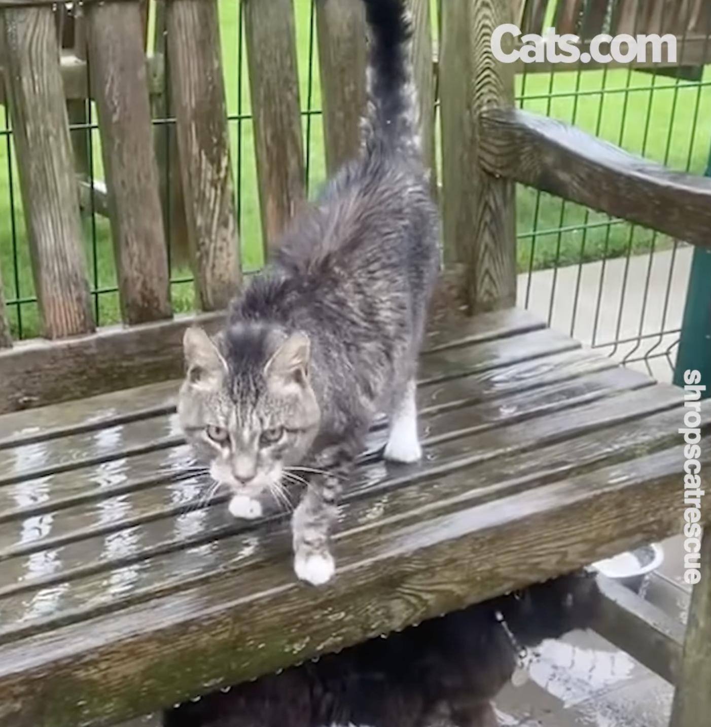 Two villagers spend time in the rain