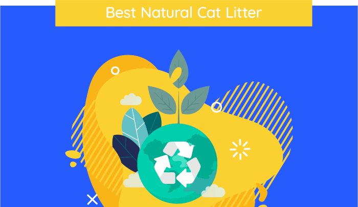 best natural cat litter