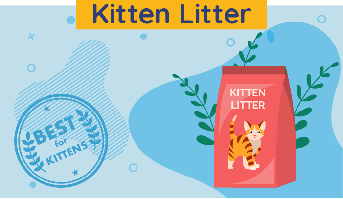 kitten litter