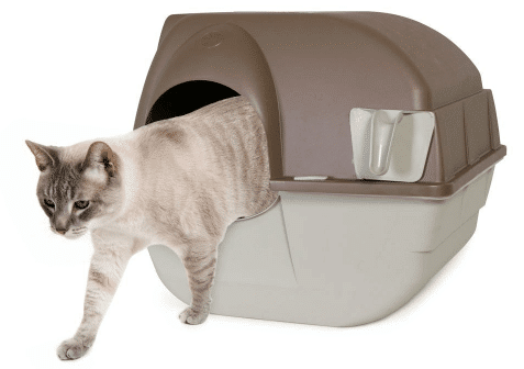 Best Cat Litter For Odor Control